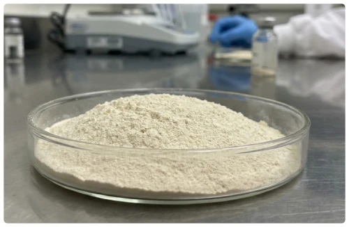 Ingredients of DentaBiome and Their Benefits